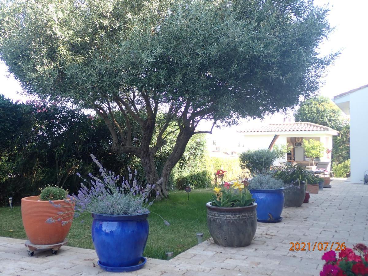 Les Fruitiers Agde Dış mekan fotoğraf