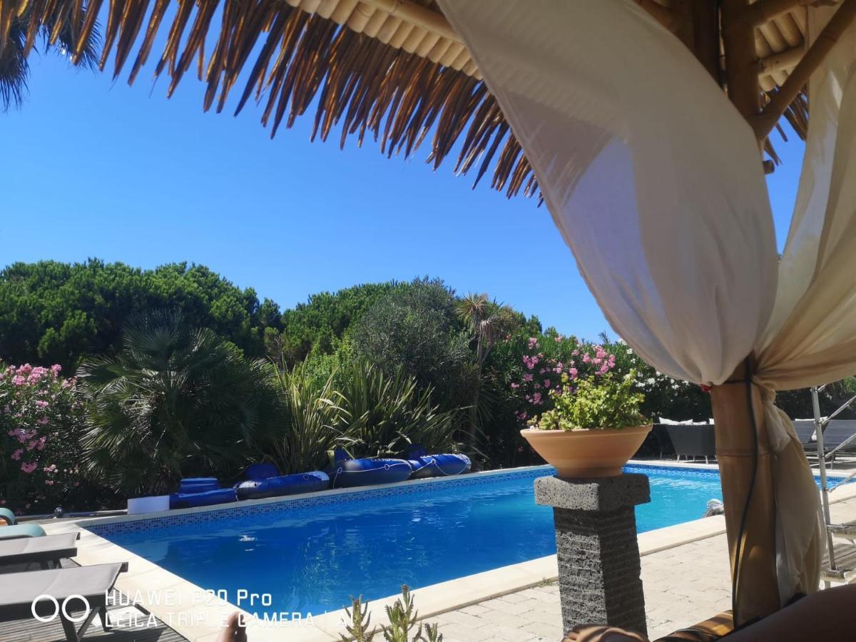 Les Fruitiers Agde Dış mekan fotoğraf